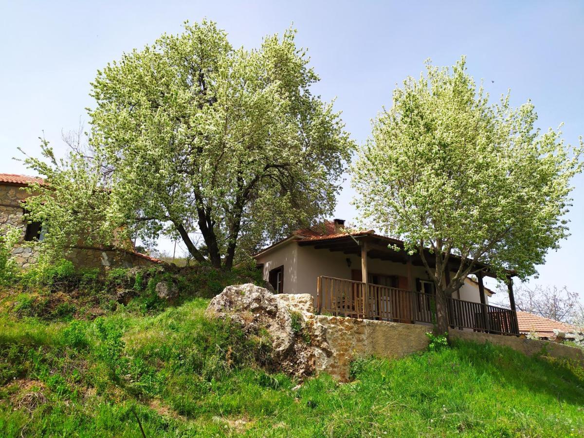 Μικρή Ζήρεια Ενοικιαζόμενη Κατοικία Synikia Mesi Trikalon Exterior foto