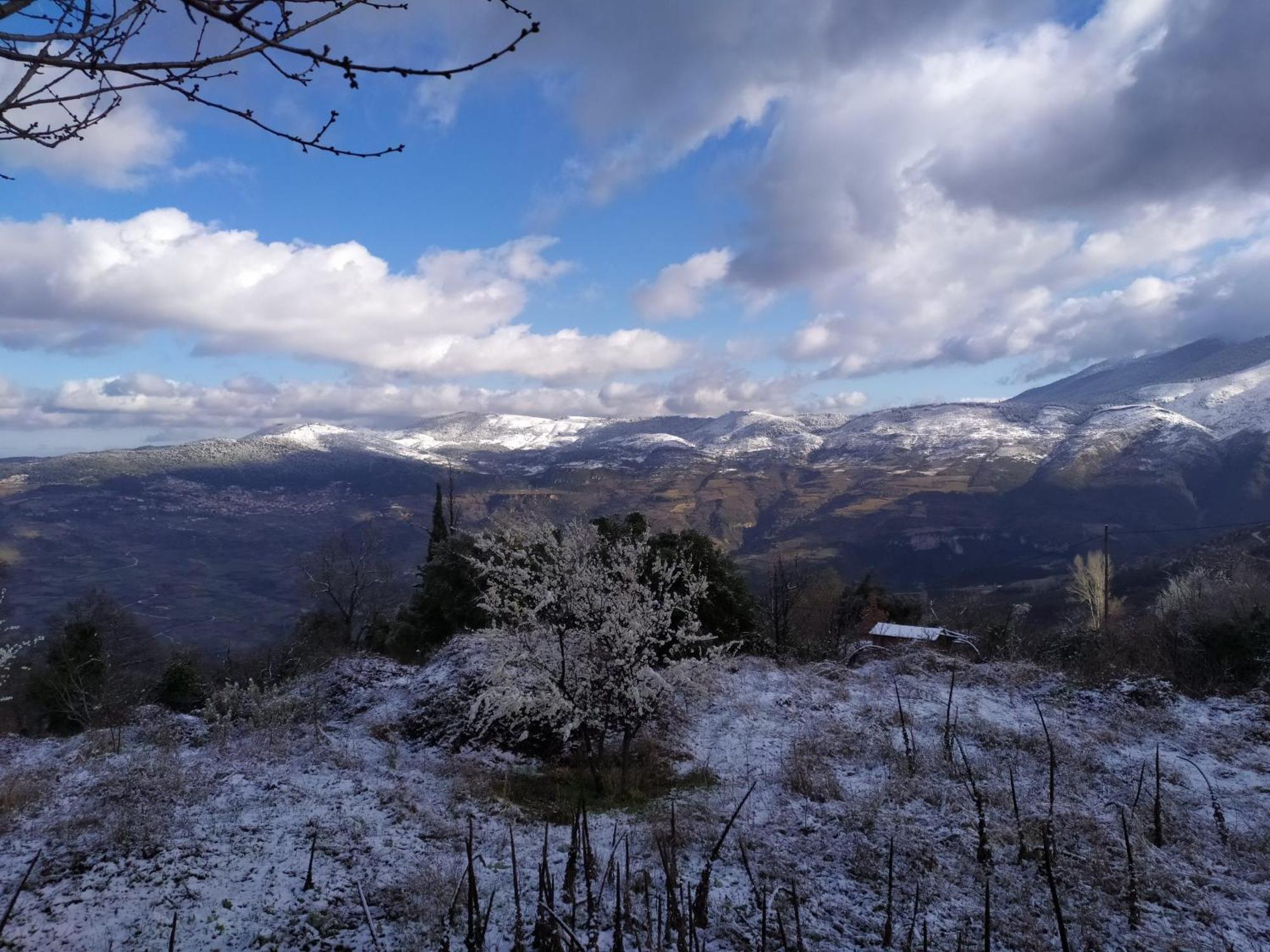 Μικρή Ζήρεια Ενοικιαζόμενη Κατοικία Synikia Mesi Trikalon Exterior foto
